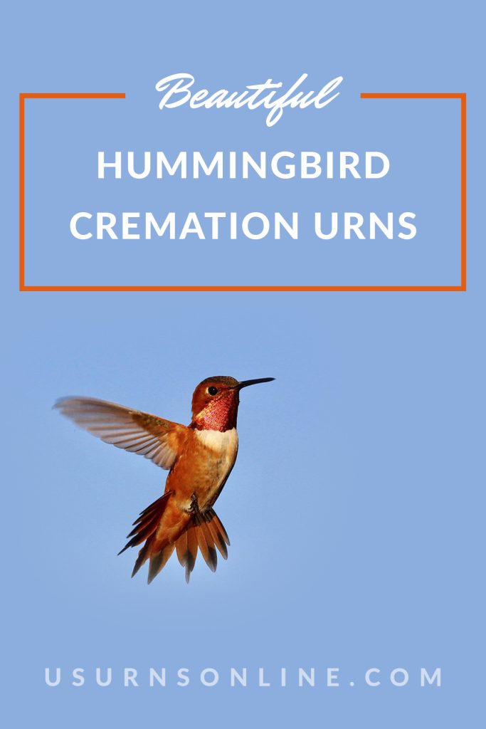 hummingbird cremation urns - pin it image