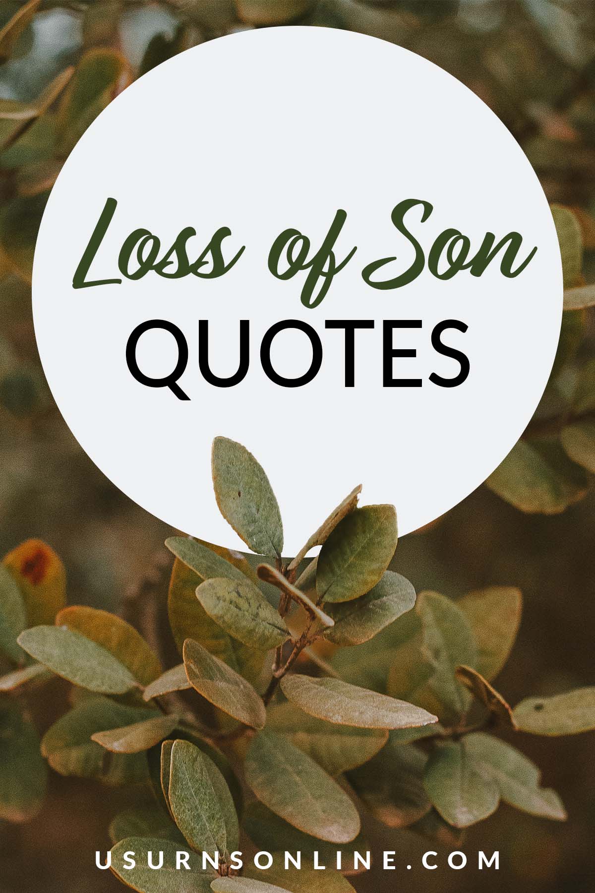 loss of son quotes - feature image