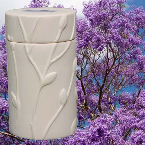 jacaranda memorial tree purple cremation urn