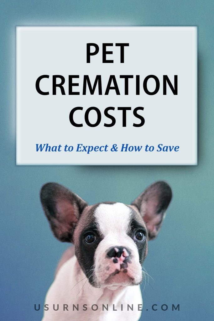 how much does it cost to cremate a dog