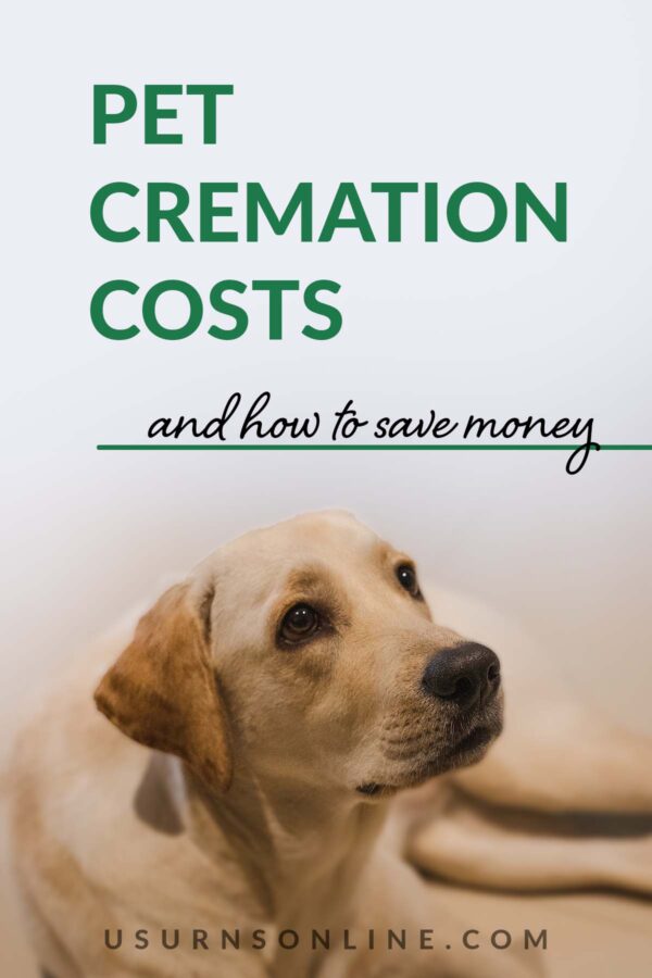 Pet Cremation Costs What to Expect & How to Save » US Urns Online