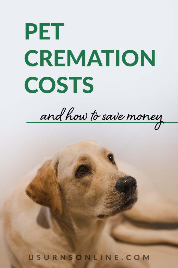 pet cremation cost - pin it image