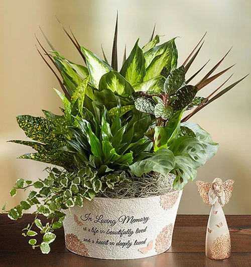 gifts for someone who lost a parent - A Life so Beautiful Dish Garden