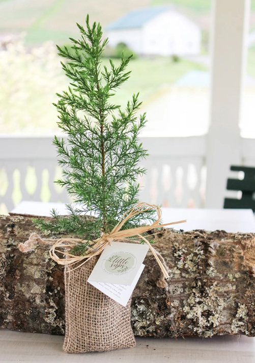 Plant With Love Memorial Tree