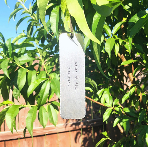 Personalized Tree Tag