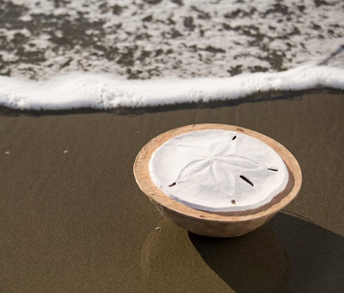 Handmade Biodegradable Sand Dollar Urn - biodegradable cremation urns