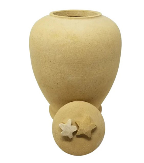 Simple Starfish Eco-Friendly urn