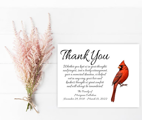 sample thank you notes after funeral - Cardinal Thank You Note Card