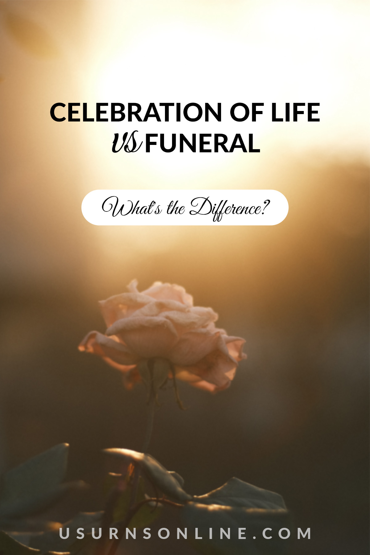 celebration of life vs funeral - feature image