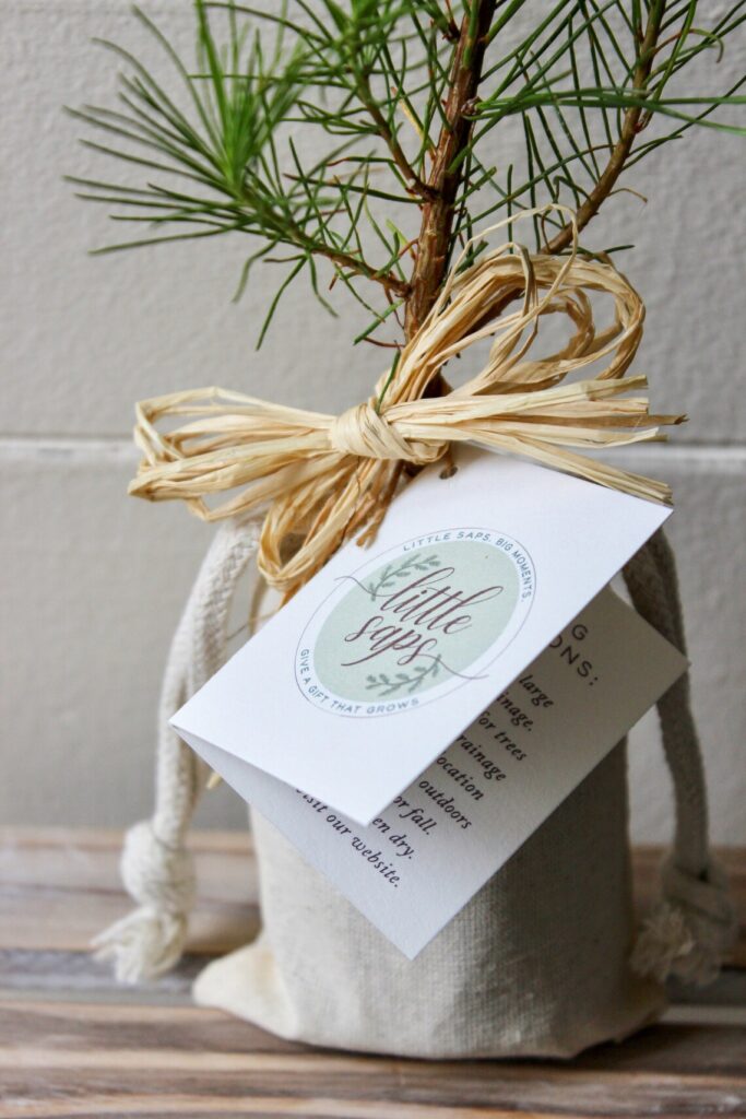 best sympathy gifts - tree sapling