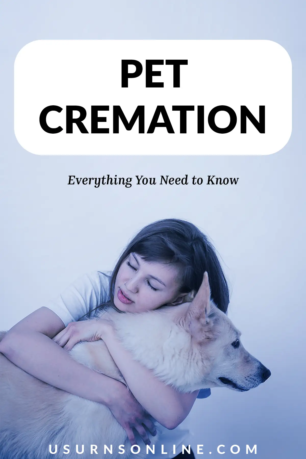 how does pet cremation work - feature image