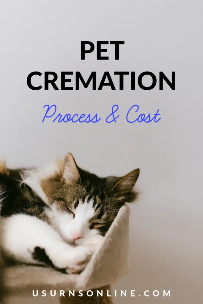 how does pet cremation work - pin it image