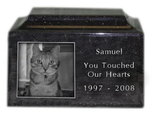 how does pet cremation work: Engraved Photo Pet Urn in Granite