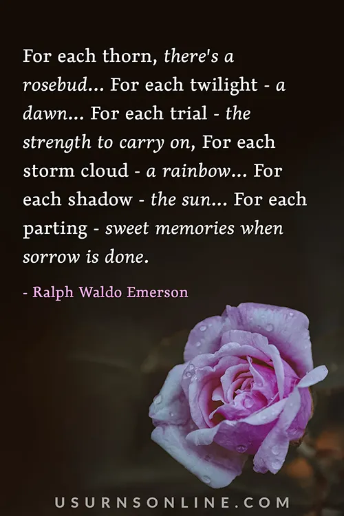 comforting new year quotes about sorrow