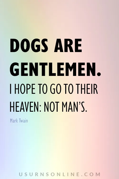 Pet Sympathy Quotes & Messages