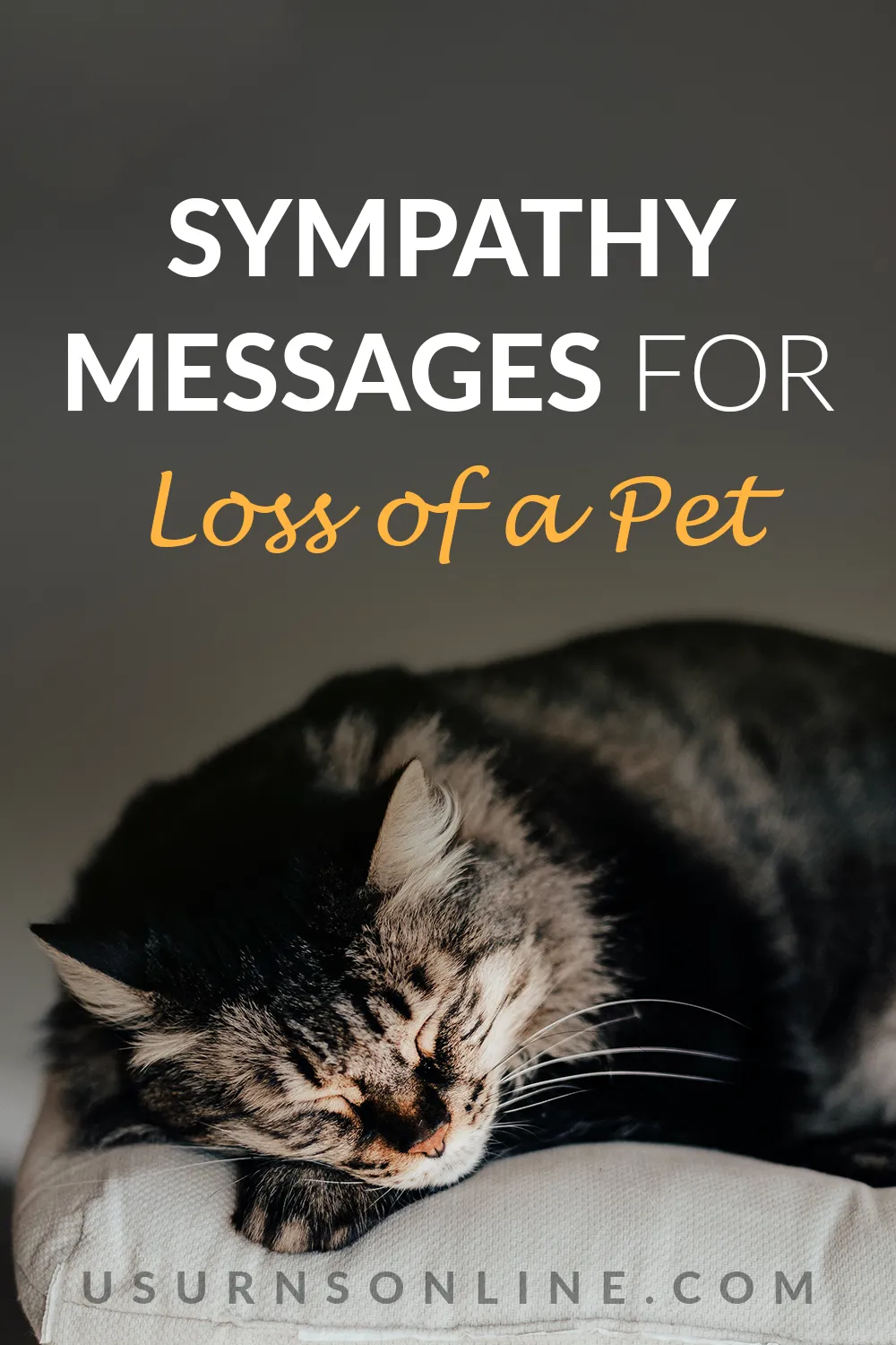 comforting words for loss of pet - feature image