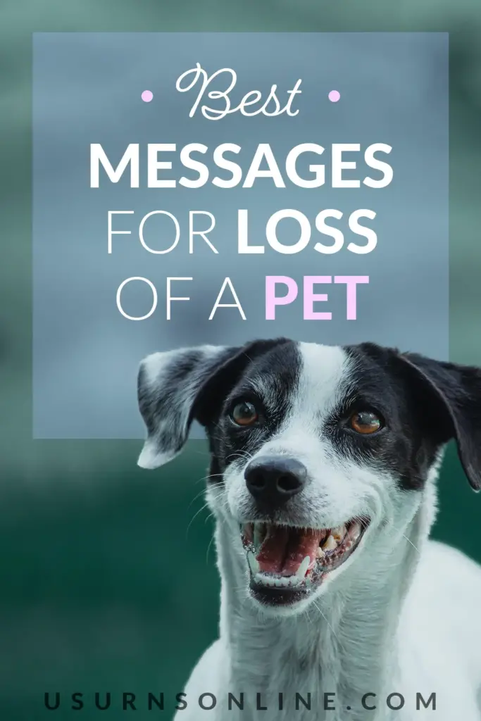 loss of pet messages - pin it image