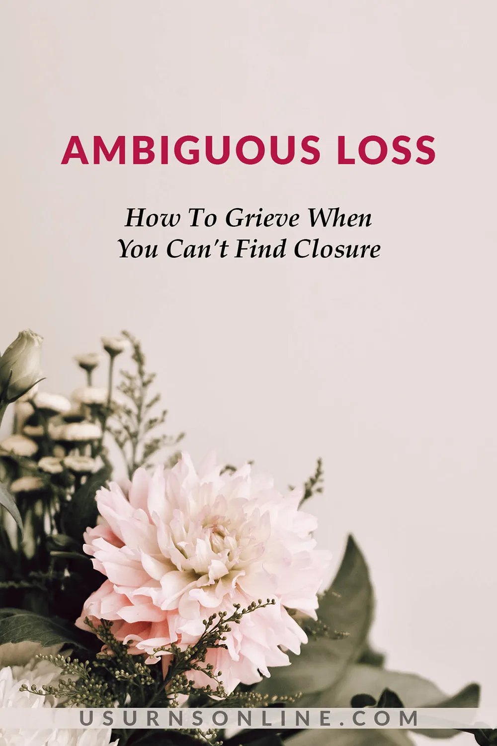 ambiguous loss - feature image