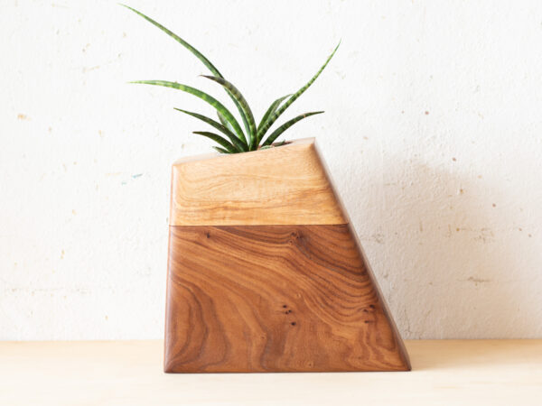 Large Planturn Cremation Urn in Elm & Pecan - Image 4