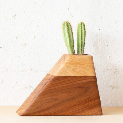 Medium Planturn Cremation Urn in Elm & Pecan