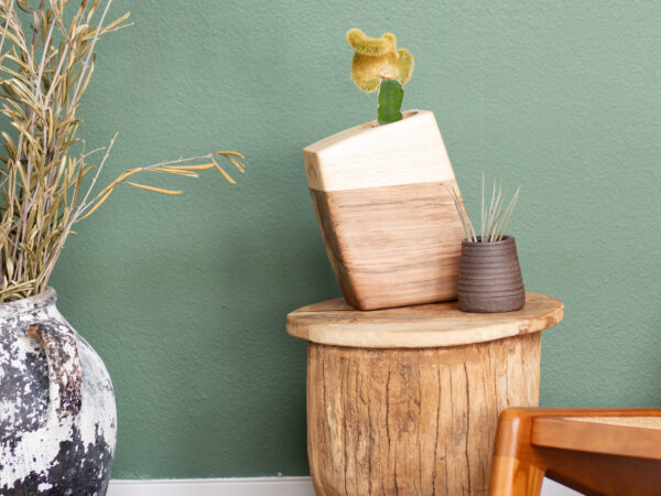 Small Planturn Cremation Urn in Sweetgum & Pecan - Image 5