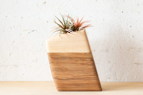 Small Planturn Cremation Urn in Sweetgum & Pecan - Image 4