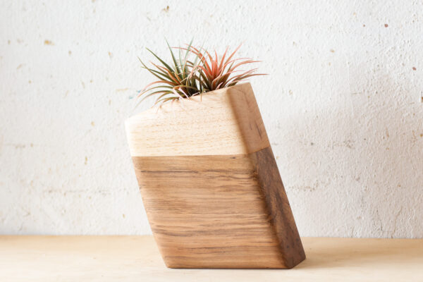 Small Planturn Cremation Urn in Sweetgum & Pecan - Image 2