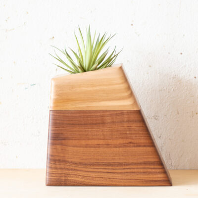 Large Walnut & Sweetgum Planturn